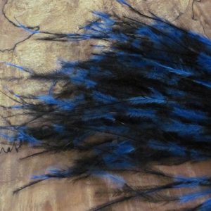 Barred Ostrich-Strung